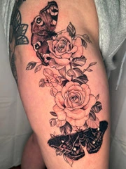 Fineline stylistic realism